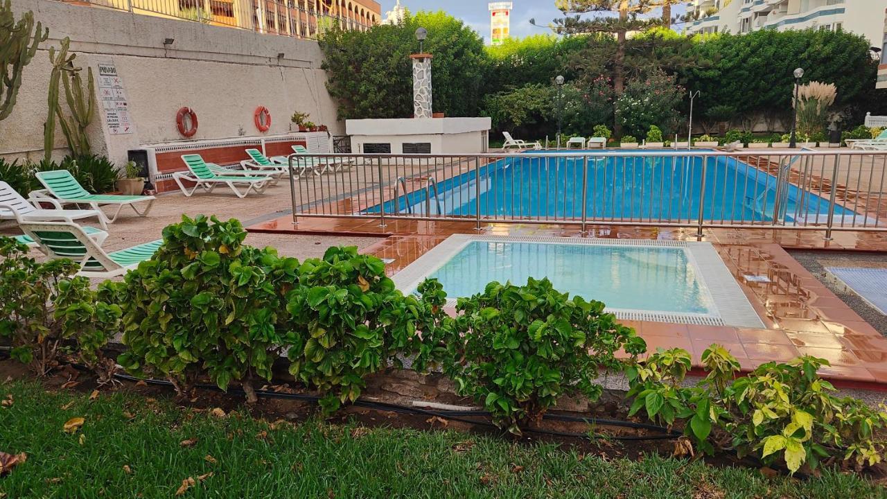Alamo Luxury Apartment 普拉亚戴尔雷安格莱斯 外观 照片